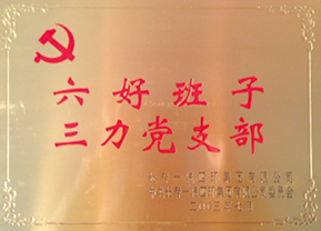 荣誉06
